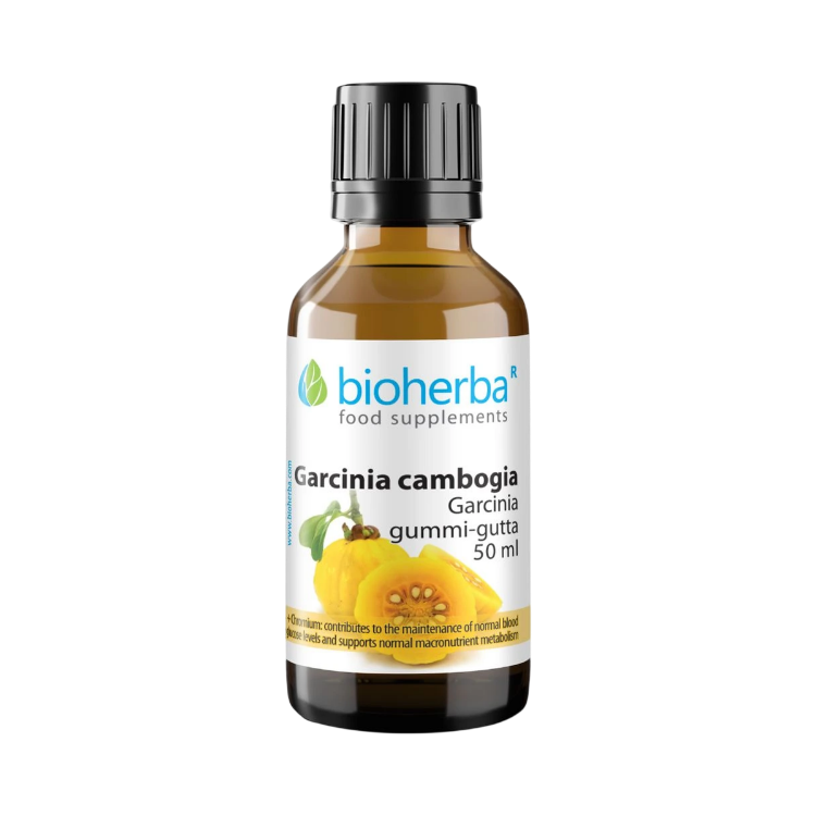 Kép Bioherba Garcinia Cambogia tinktúra cseppek krómmal – 50 ml