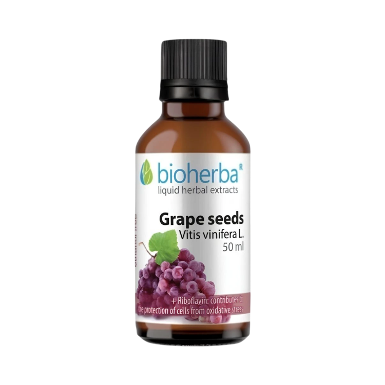 Kép Bioherba Szőlőmag tinktúra cseppek – 50 ml