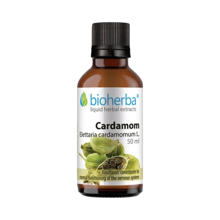 Kép Kardamom tinktúra cseppek - 50 ml - Bioherba
