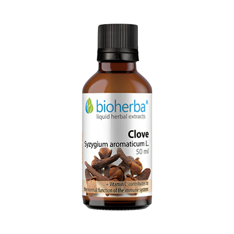 Kép Szegfűszeg tinktúra cseppek – 50 ml – Bioherba
