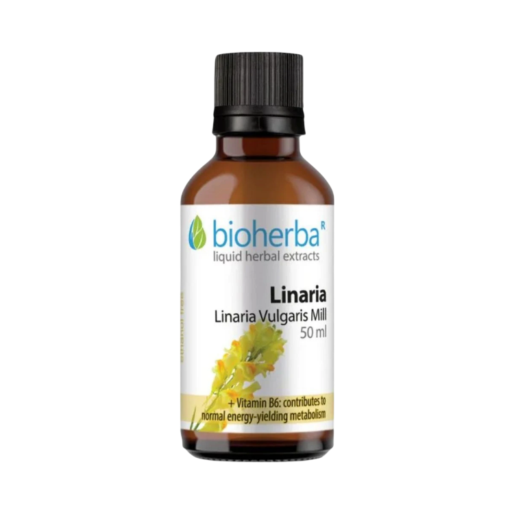 Kép Közönséges gyújtoványfű tinktúra cseppek, 50 ml - Bioherba