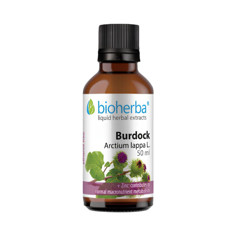 Kép Bioherba nagy bojtorján tinktúra cseppek – 50 ml