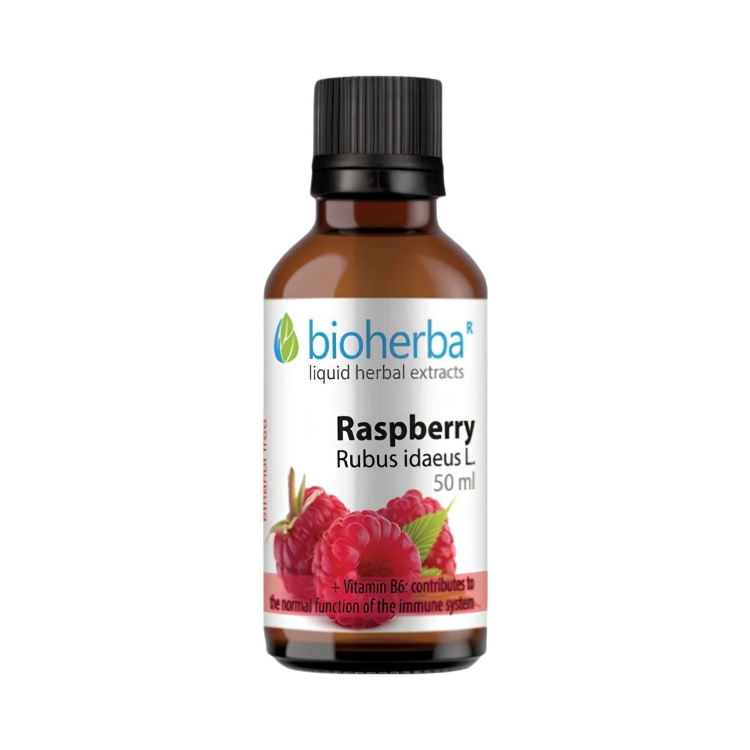 Kép Bioherba Málna tinktúra cseppek 50 ml