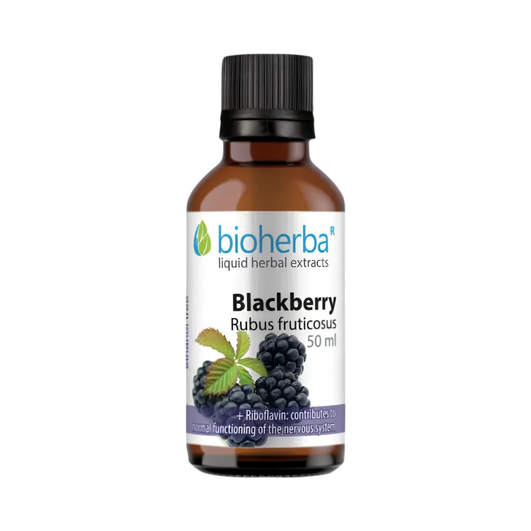 Kép Bioherba Szeder tinktúra cseppek - 50 ml