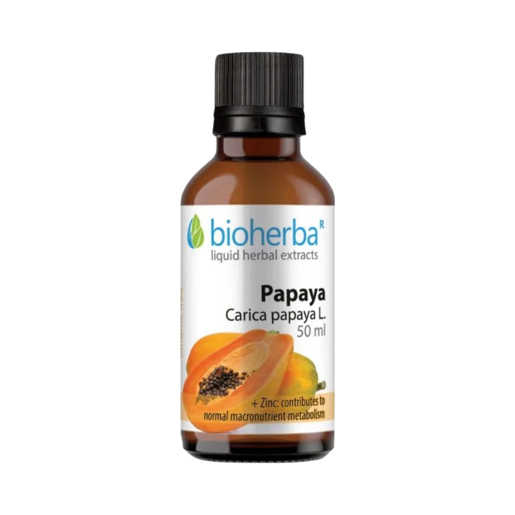 Kép Bioherba Papája tinktúra cseppek – 50 ml