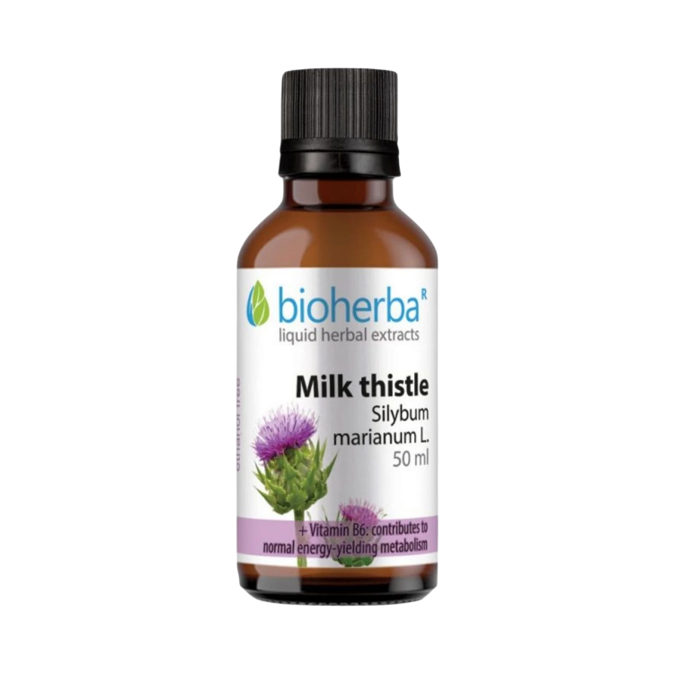 Kép Máriatövis (Silybum marianum) cseppek – tinktúra – 50 ml – Bioherba
