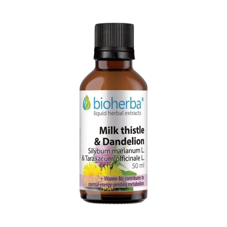 Kép Máriatövis és gyermekláncfű cseppek – tinktúra – 50 ml – Bioherba