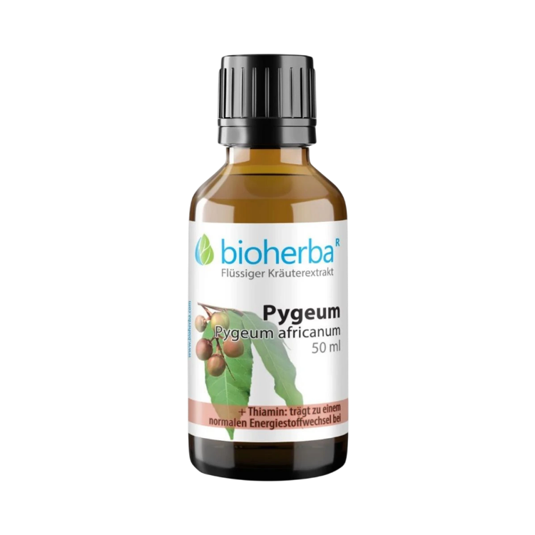 Kép Pygeum (afrikai szilva) tinktúra cseppek – 50 ml – Bioherba