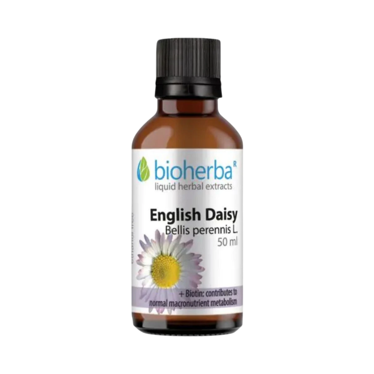 Kép Bioherba Százszorszép tinktúra cseppek – 50 ml