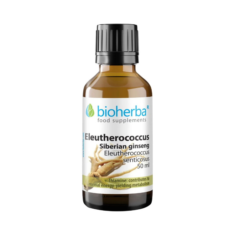 Kép Bioherba szibériai ginzeng cseppek – tinktúra – 50 ml