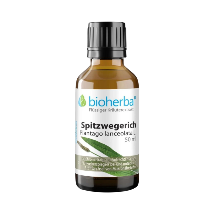 Kép Lándzsás útifű tinktúra cseppek – 50 ml – Bioherba