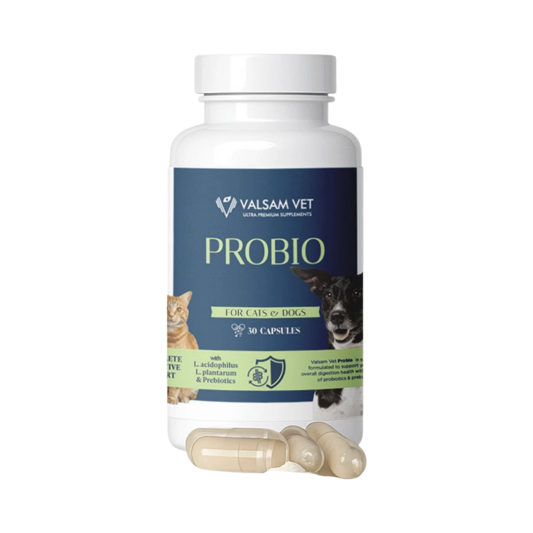 Kép PROBIO - probiotikumok és prebiotikumok kutyák és macskák számára 30 kapszula - Valsam Vet