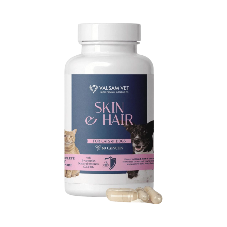 Kép SKIN & HAIR - az egészséges bőr és fényes szőrzet támogatása kutyák és macskák számára 60 kapszula - Valsam Vet