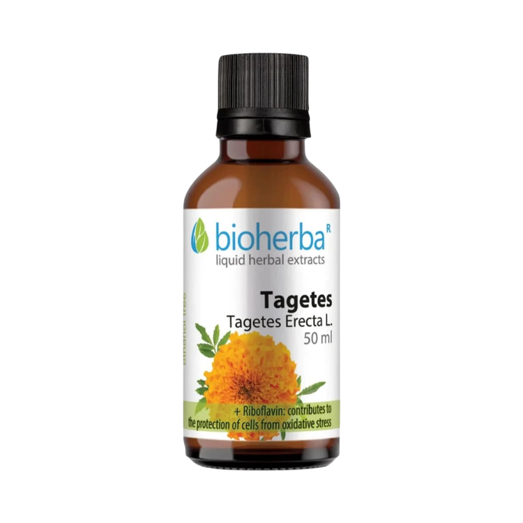 Kép Bioherba bársonyvirág cseppek – tinktúra – 50 ml