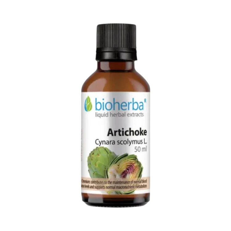 Kép Articsóka (Cynara scolymus L.) cseppek – tinktúra – 50 ml – Bioherba