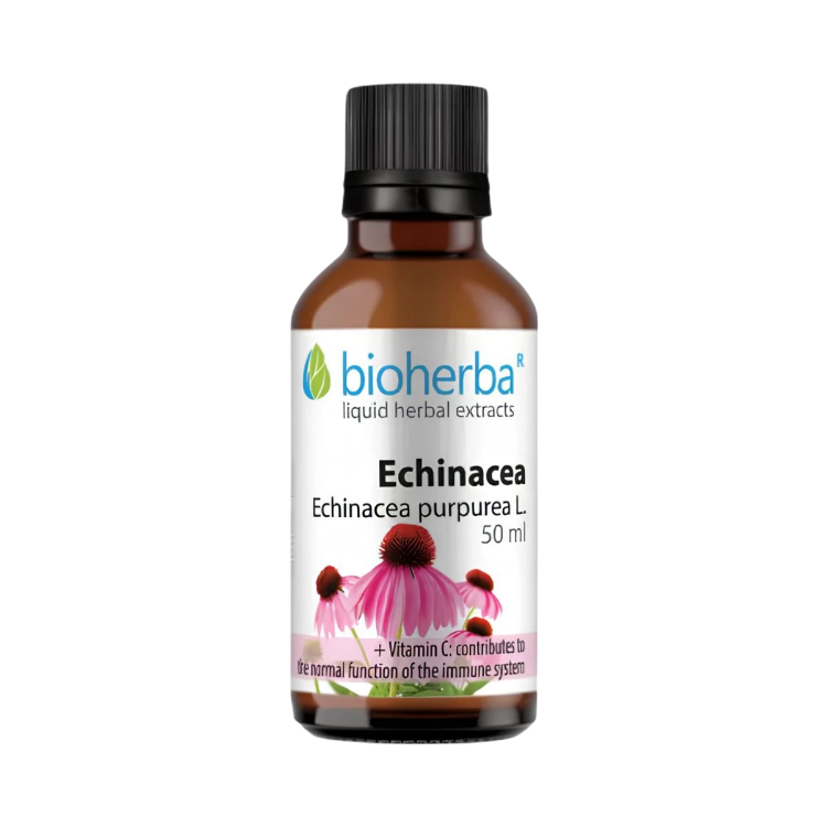 Kép Bioherba Echinacea cseppek – tinktúra – 50 ml
