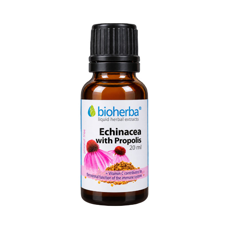 Kép Bíbor kasvirág cseppek propolisszal – tinktúra – 20 ml – Bioherba