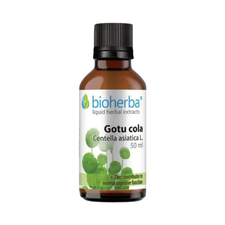 Kép Gotu Kola cseppek – tinktúra – 50 ml – Bioherba