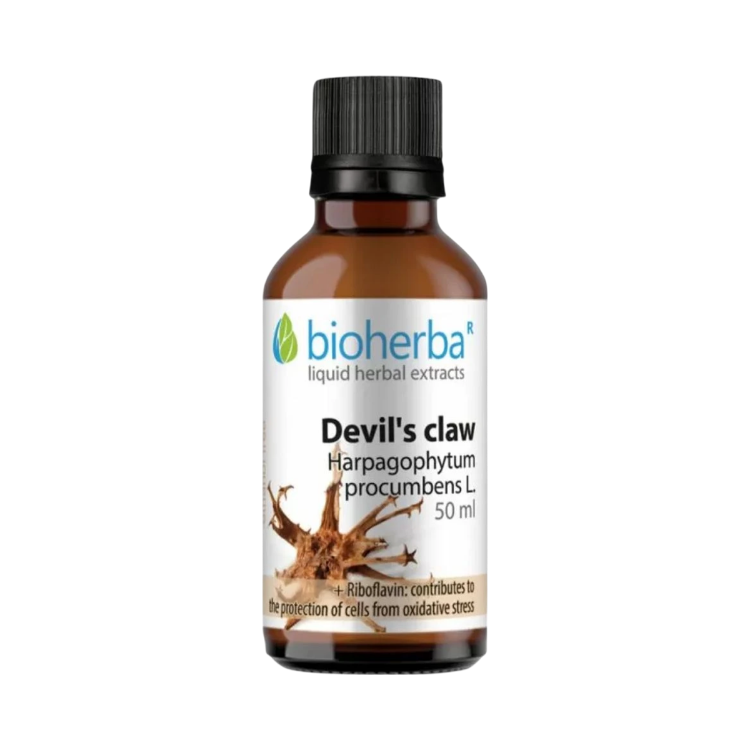 Kép Ördögkarom cseppek – tinktúra – 50 ml – Bioherba