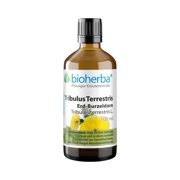 Kép Királydinnye cseppek – tinktúra – 100 ml – Bioherba