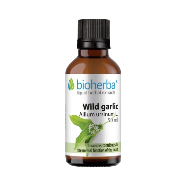 Kép Medvehagyma cseppek – tinktúra – 50 ml – Bioherba