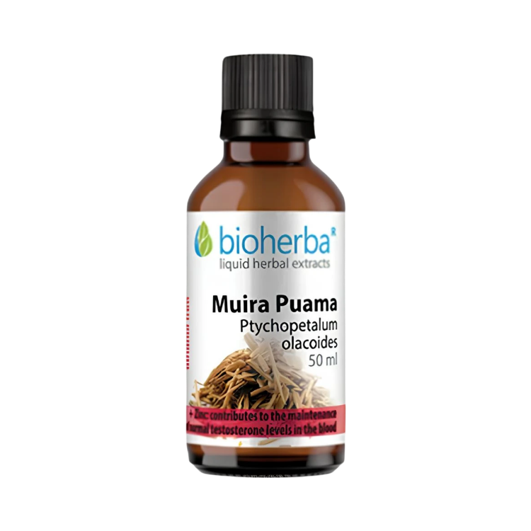 Kép Muira Puama (Ptychopetalum olacoides) cseppek – tinktúra – 50 ml – Bioherba
