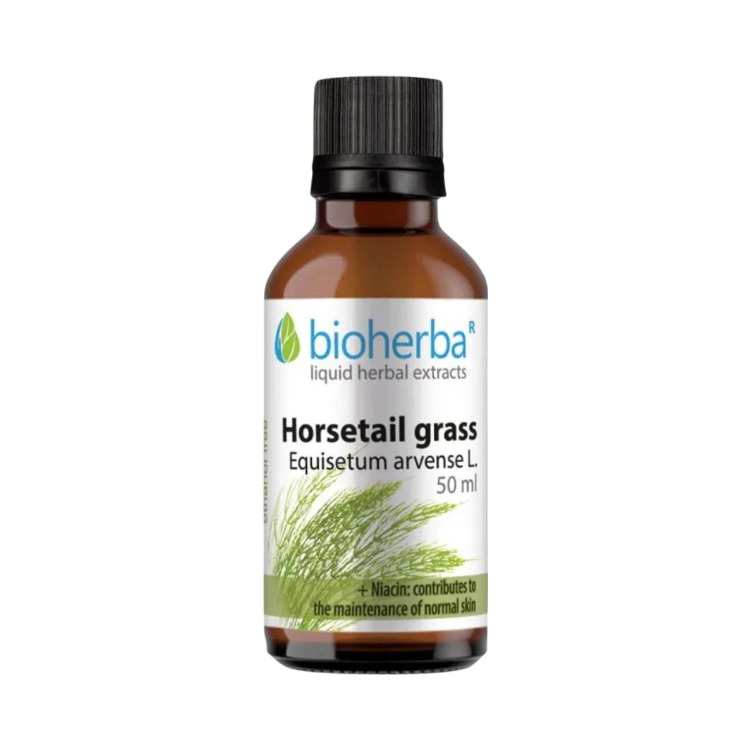 Kép Mezei zsurló (Horsetail) cseppek – tinktúra – 50 ml – Bioherba