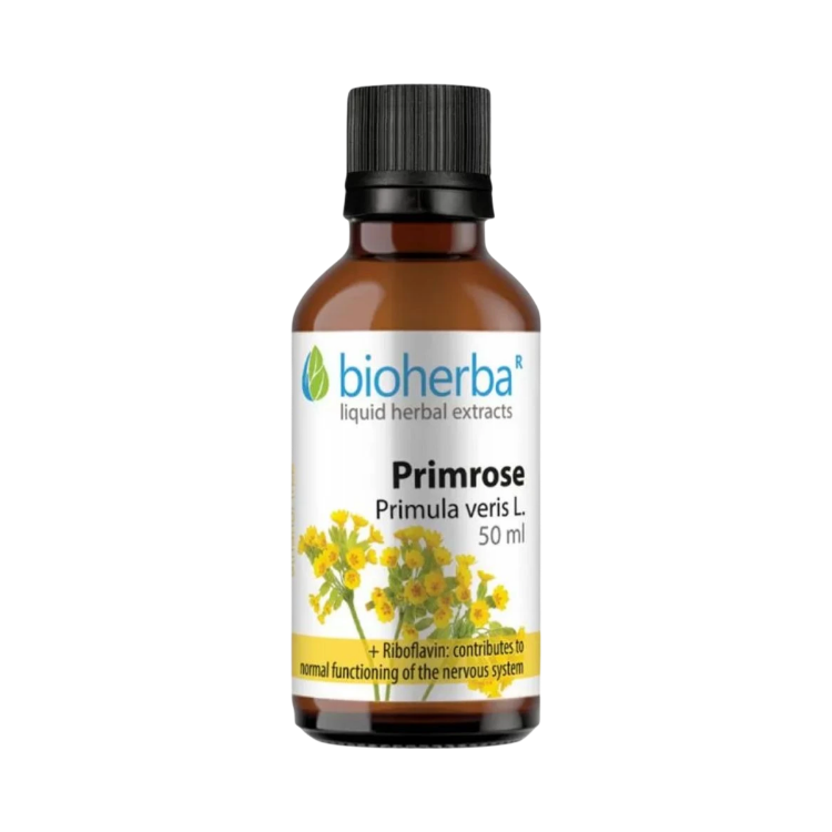 Kép Bioherba tavaszi kankalin (Primula veris) cseppek – tinktúra – 50 ml