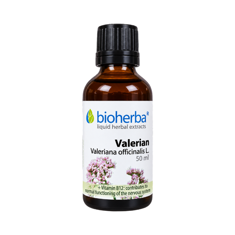 Kép Macskagyökércseppek az idegrendszer támogatására – tinktúra – 50 ml – Bioherba