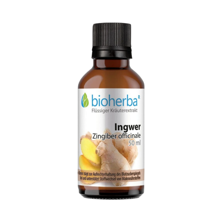 Kép Bioherba Gyömbér cseppek – tinktúra – 50 ml
