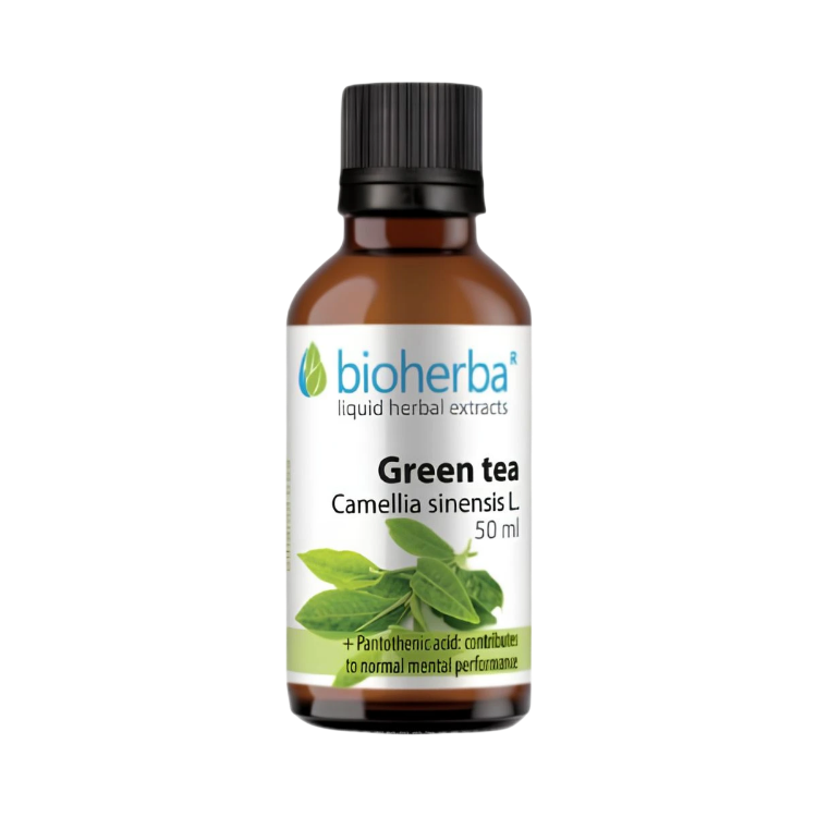 Kép Zöld tea (Camellia sinensis) cseppek – tinktúra – 50 ml – Bioherba
