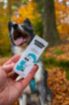 Kép Friss lehelet DOGS – Shroom Buddy