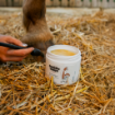Kép HORSES patabalzsam – Shroom Buddy