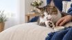 Kép CATS mancsápoló balzsam – Shroom Buddy