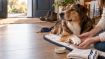 Kép DOGS mancsbalzsam – Shroom Buddy