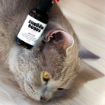 Kép CATS fülcseppek – Shroom Buddy